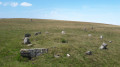 À la découverte des mystérieux Cromlechs d'Occabé